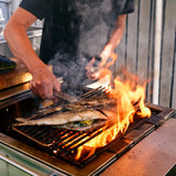 Kolgrill för Utekök (Rostfritt stål)